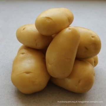 Novo produto, batata fresca, preço de venda de batata quente no mercado